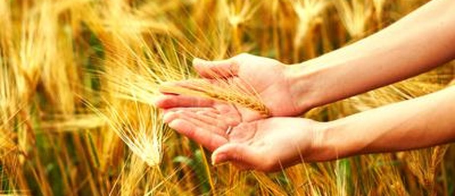 Todo fruto precisa esperar um tempo de cultivo Todo fruto precisa esperar um tempo de cultivo